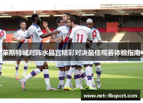 莱斯特城对阵水晶宫精彩对决最佳观赛体验指南
