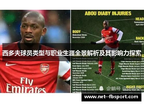 西多夫球员类型与职业生涯全景解析及其影响力探索