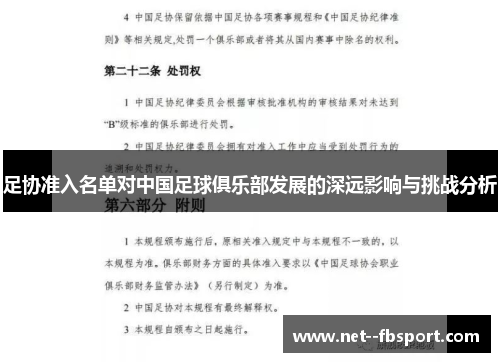 足协准入名单对中国足球俱乐部发展的深远影响与挑战分析