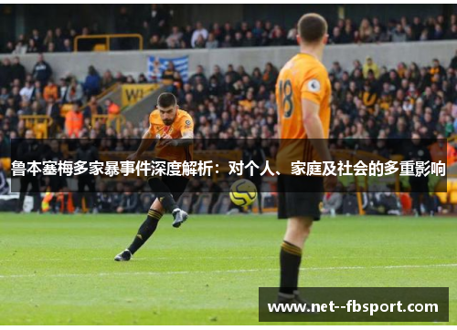 鲁本塞梅多家暴事件深度解析：对个人、家庭及社会的多重影响