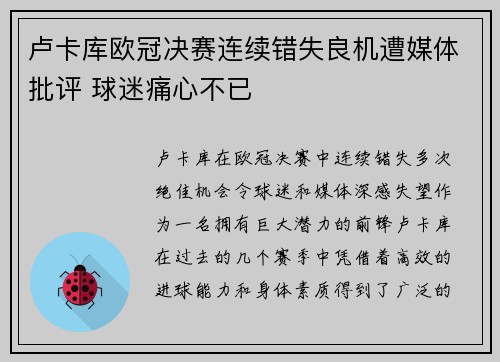 卢卡库欧冠决赛连续错失良机遭媒体批评 球迷痛心不已
