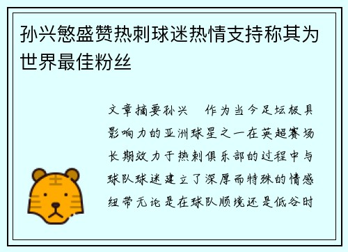 孙兴慜盛赞热刺球迷热情支持称其为世界最佳粉丝